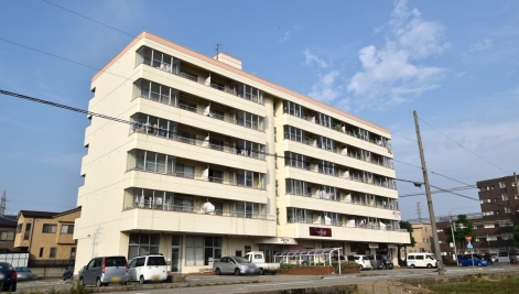 サムネイル画像