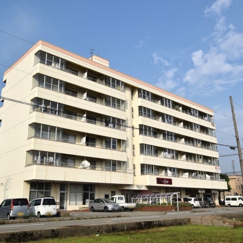 サムネイル画像