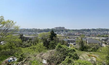 サムネイル画像