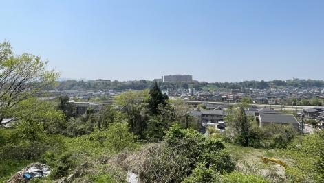 サムネイル画像