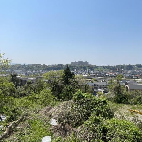 サムネイル画像