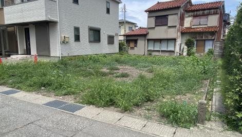 サムネイル画像