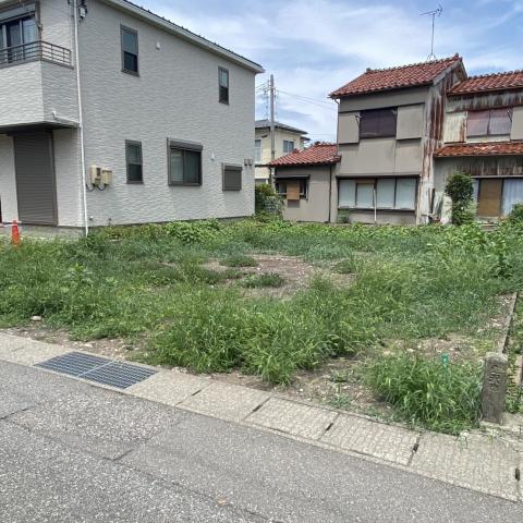 サムネイル画像