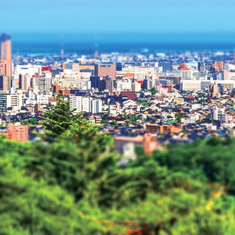 サムネイル画像